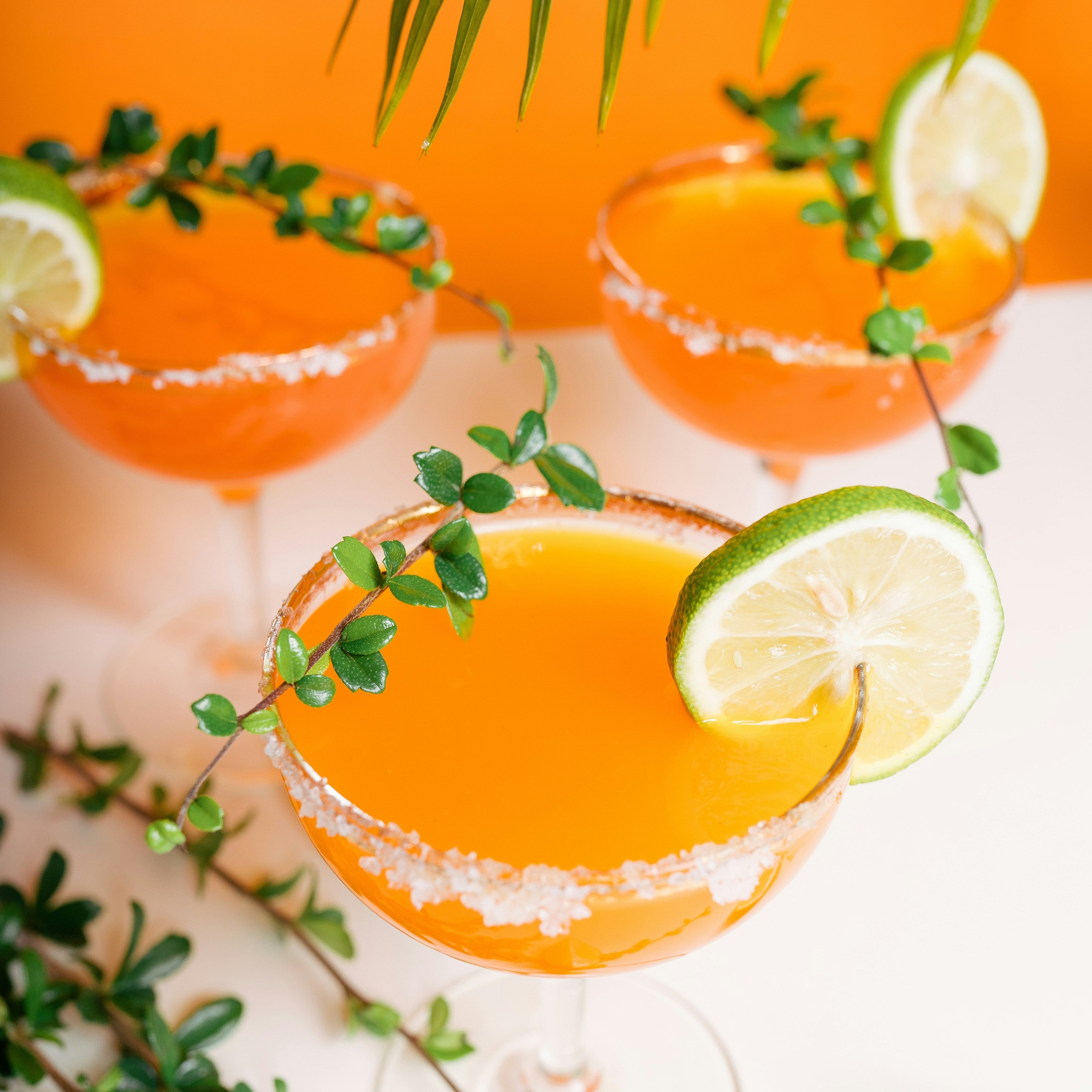 Cuishe — Mezcal Joven